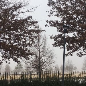 Meet your Posher, Dayley